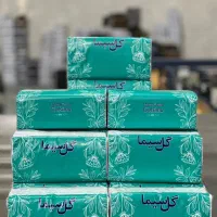 ویزیتور حضوری محصولات سلولزی(دستمال کاغذی)