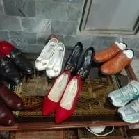 کفشهای مردانه وزنانه وکتونی نایک اصلی