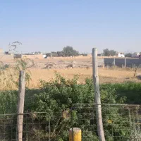 فروش-زمین