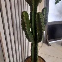 منشی جهت کلینیک زیبایی