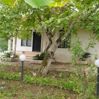 ویلای دربست ، جنگلی،باغ،سوییت،گیلان