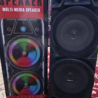 اسپیکر بزرگ چرخ دار دارای میکروفن و کنترل|پخش‌کننده همراه|رامشیر, |دیوار