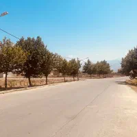فروش زمین مسکونی-جلین|فروش زمین و ملک کلنگی|جلین, |دیوار