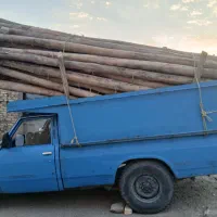 خرید انواع چوب