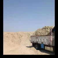 کاه نیشکر نرم تازه