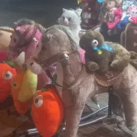 عروسک پولیشی|اسباب‌بازی بچه|فسا, |دیوار