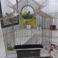 دو مرغ عشق با قفس