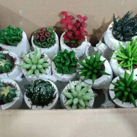 کاکتوس مصنوعی