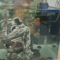 اکواریوم کامل|ماهی|اقبالیه, |دیوار