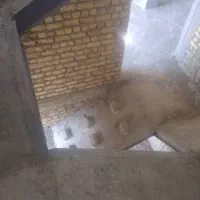 خانه فروشی|فروش خانه و ویلا|فیروزآباد (فارس), |دیوار