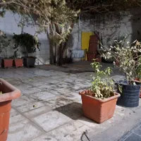 فروش-ملک-و-سرقفلی-یکجا