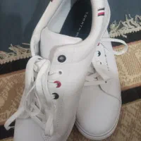 کفش تامی بریتانیایی|کیف، کفش، کمربند|مشهد, شهید علی محمدی|دیوار