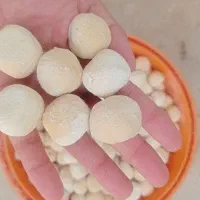 کشک