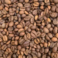 لستخدام نیرو بازاریاب