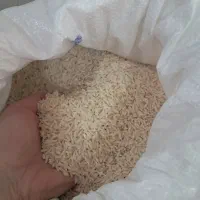 برنج تازه شمالی قیمت مناسب