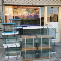 بارجدیدماهی ولوازم درآکواریوم ونوس رسید|ماهی|زنجان, |دیوار