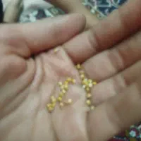 ارزن