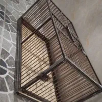 سبد یا قفس راهکش کبوتر