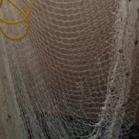 تفریحی سرگرمی