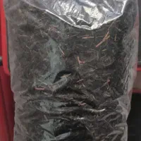 چای لاهیجان