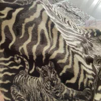 تشک پنبه ۳ عدد کاملا نو|رختخواب، بالش، پتو|تهران, گلستان (شهرک راه آهن)|دیوار