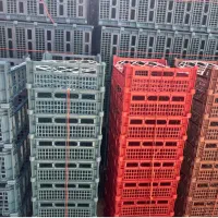 فروش مستقیم از مجموعه|ظروف نگهدارنده، پلاستیکی، یکبارمصرف|هشتگرد, هشتگرد قدیم|دیوار