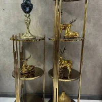 استند کنار سالنی