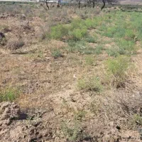 2100مترزمین نبش اتوبان بناب بعداز نیروگاه برق سهند|فروش زمین و ملک کلنگی|بناب, |دیوار