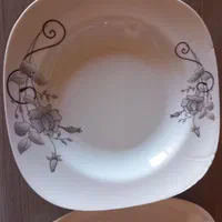 ظروف پذیرایی