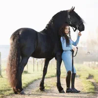 سوارکاری آزاد ، گشت صحرایی ، عکاسی با اسب|اسب و تجهیزات اسب‌سواری|تهران, چیتگر جنوبی|دیوار