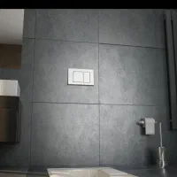 کلید فلاش تانک|لوازم سرویس بهداشتی|بجنورد, |دیوار