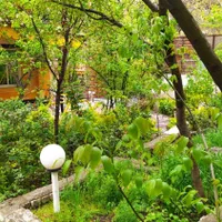 ویلا اجاره ای در ییلاق هات ابرده|اجارهٔ کوتاه‌مدت ویلا و باغ|شاندیز, |دیوار