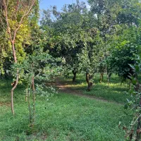 فروش فوری باغ در شهر ارطه