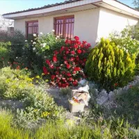 ویلا باغ نقلی 400مترزمین 60متربنا سند تک برگ