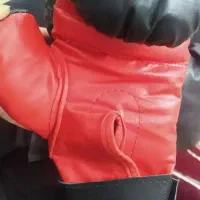 دستکش بوکس نو|تجهیزات ورزشی|گنبد کاووس, |دیوار