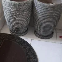 گلدان|گل و گیاه طبیعی|تهران, خاوران|دیوار