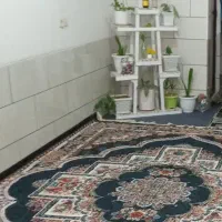 اجاره منزل دو خوابه