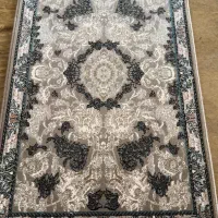 فروش پادری ب قیمت عمده در بندر عباس|پادری|بندرعباس, |دیوار