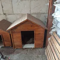 لانه سگ ضدآب