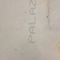 موکت پالاز تافتینگ|موکت|تهران, طرشت|دیوار