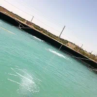 اجاره-مزرعه-دومنظوره-پرورش-ماهی-ومیگو