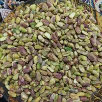 مغز پسته نیم سبز امسالی