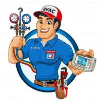 فنی کار بلد