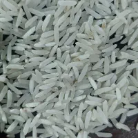 برنج فجرمحلی آب رودخانه یه شرط یکدست بودن|خوردنی و آشامیدنی|مشهد, هنرور|دیوار