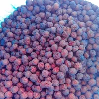 عناب بیرجند