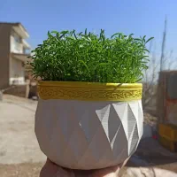 سبزه عید و گلدون