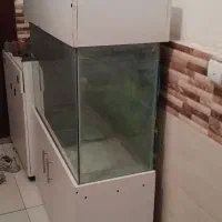 اکواریوم کمد دار|ماهی|کرج, شاهینویلا|دیوار