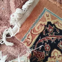 پالاز|موکت|بانه, |دیوار