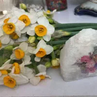 حراج نرگس|حراج|پردیس, فاز ۱|دیوار