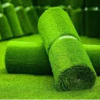 فروش بیواسطه چمن مصنوعی|خدمات باغبانی و درختکاری|کرج, پیشاهنگی|دیوار